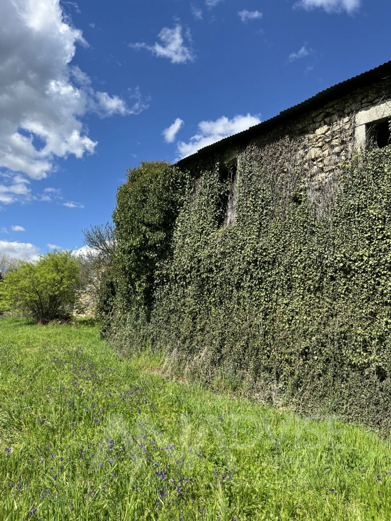 Moradia T3 para Venda em Satão Foto 24