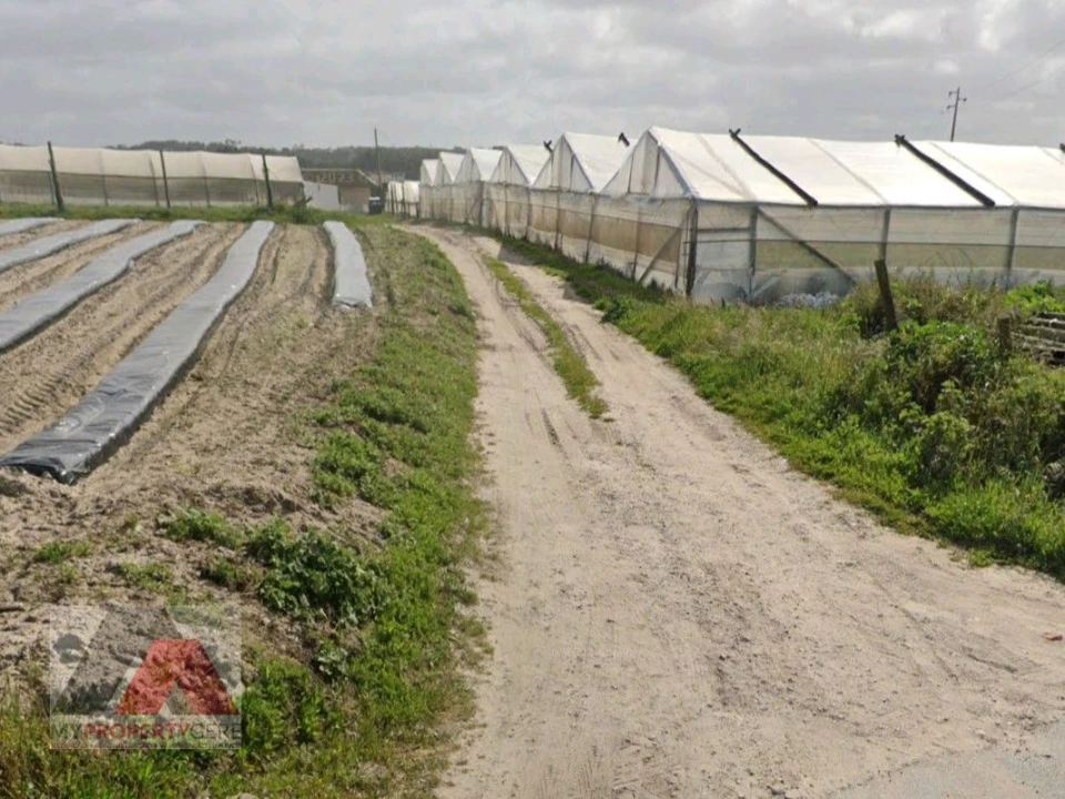 Terreno Misto para Venda em Silveira Foto 18