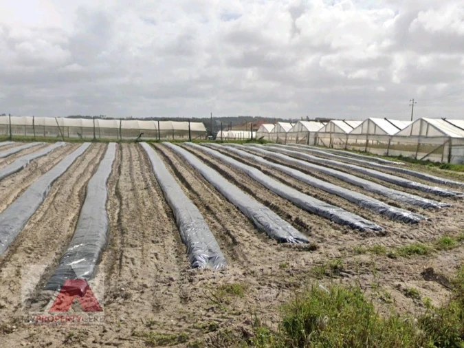 Terreno Misto para Venda em Silveira Foto 5