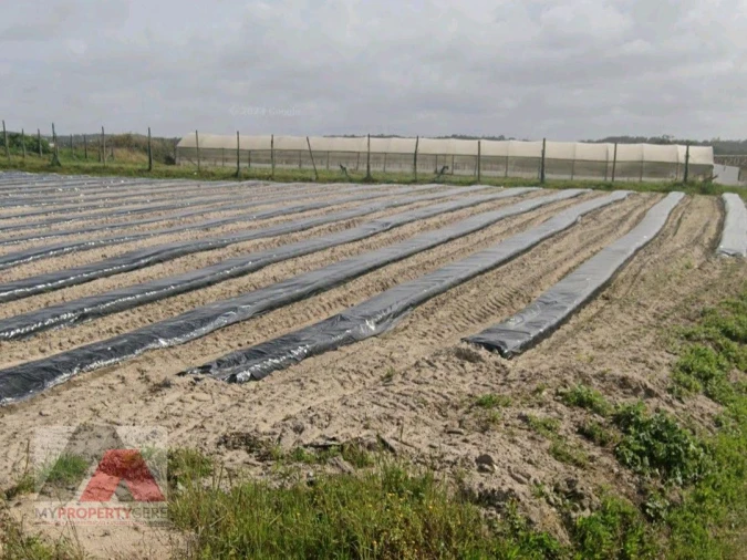 Terreno Misto para Venda em Silveira Foto 8