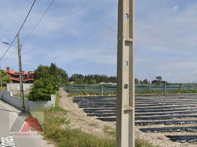 Terreno Misto para Venda em Silveira Foto 11