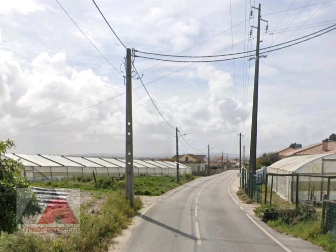 Terreno Misto para Venda em Silveira Foto 17