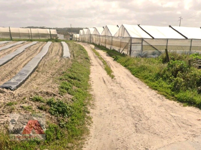 Terreno Misto para Venda em Silveira Foto 1