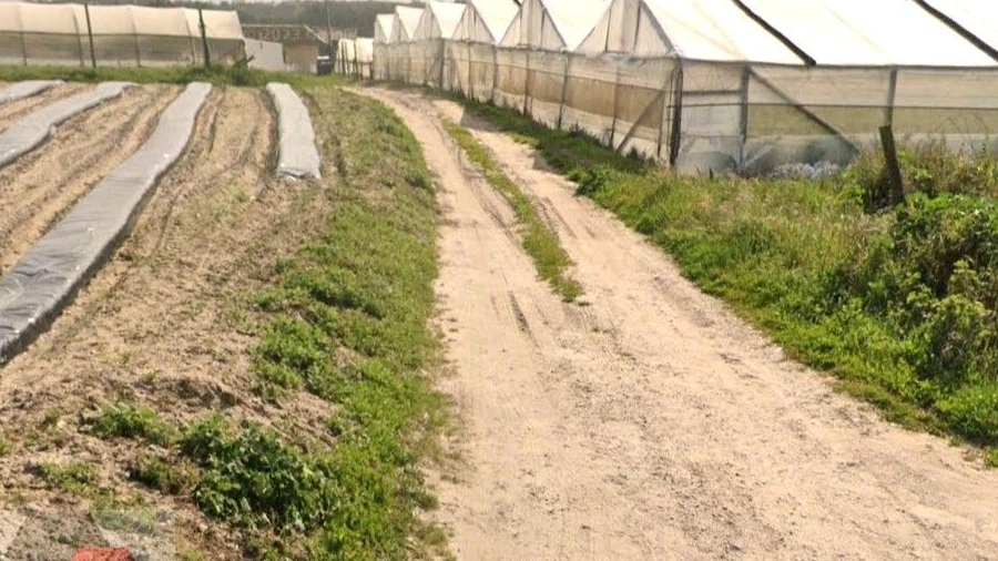 Terreno Misto para Venda em Silveira