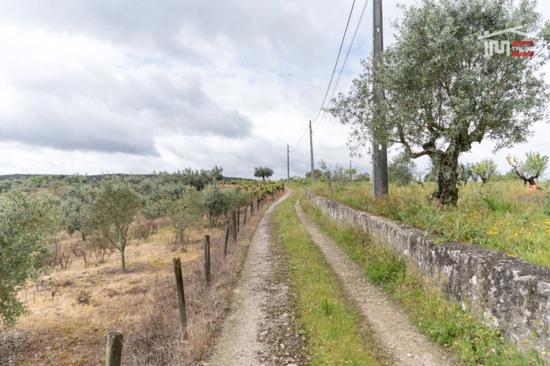 Terreno Agricola ou Rústico para Venda em Atouguia Foto 2