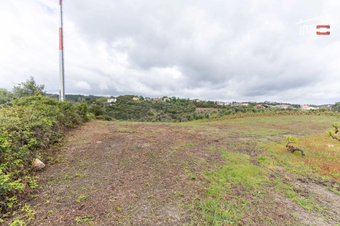 Terreno Agricola ou Rústico para Venda em Atouguia Foto 6