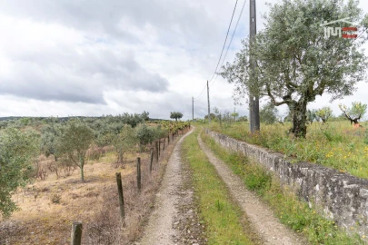 Terreno Agricola ou Rústico para Venda em Atouguia
