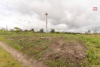 Terreno Agricola ou Rústico para Venda em Atouguia
