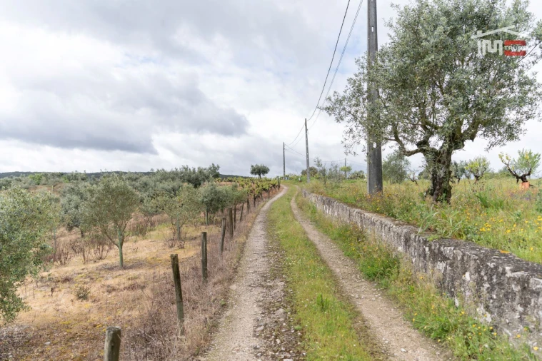 Terreno Agricola ou Rústico para Venda em Atouguia Foto 2