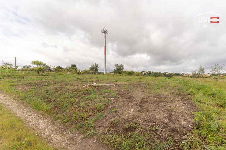 Terreno Agricola ou Rústico para Venda em Atouguia Foto 3