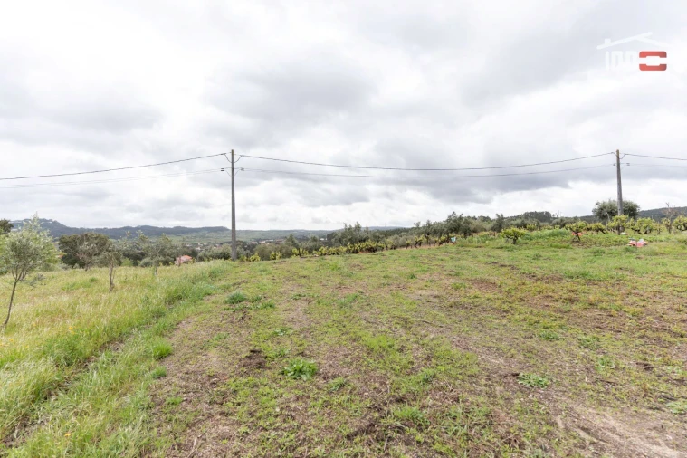 Terreno Agricola ou Rústico para Venda em Atouguia Foto 5