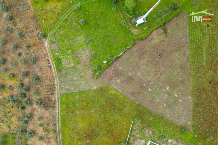 Terreno Agricola ou Rústico para Venda em Atouguia Foto 9