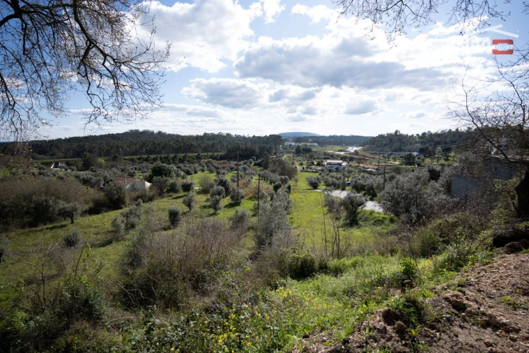 Terreno para Venda em Alburitel Foto 8