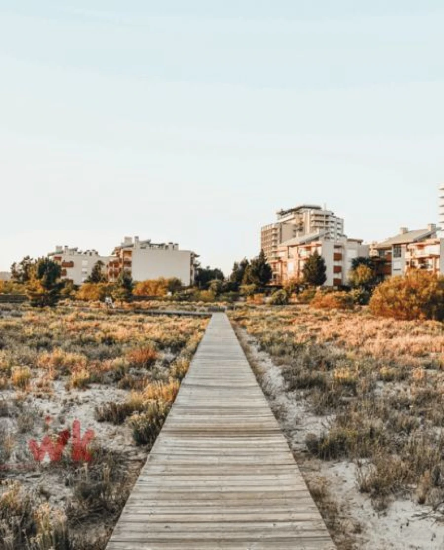 Apartamento T1 para Venda em Carvalhal Foto 25