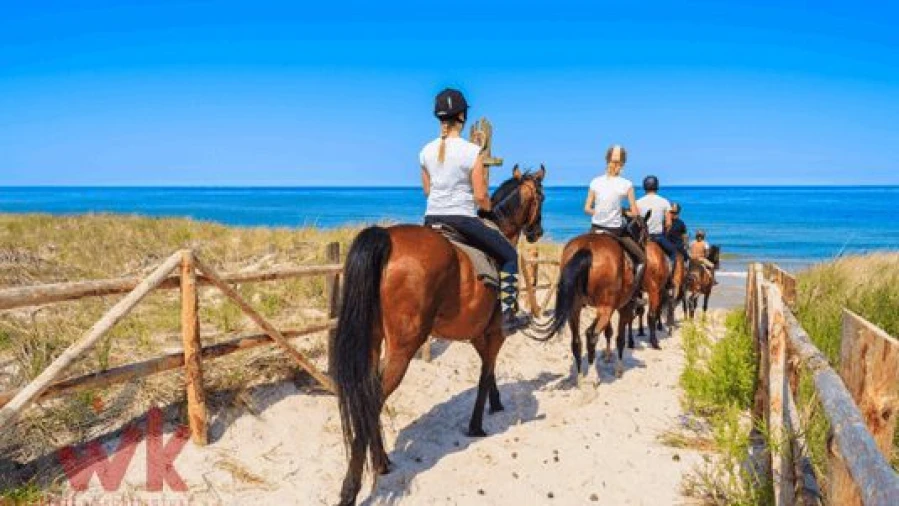 Apartamento T1 para Venda em Carvalhal Foto 28