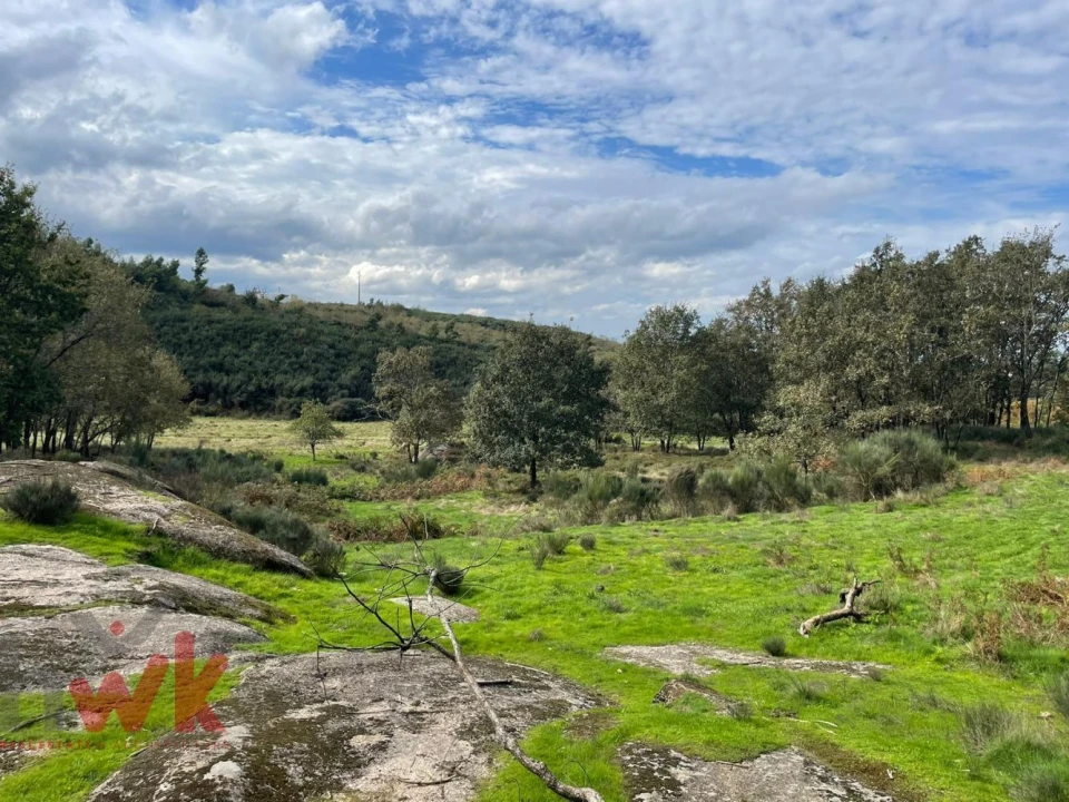 Moradia para Venda em Oliveira do Hospital e São Paio de Gramaços Foto 10