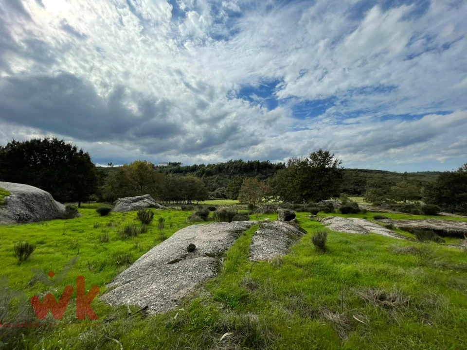 Moradia para Venda em Oliveira do Hospital e São Paio de Gramaços Foto 11