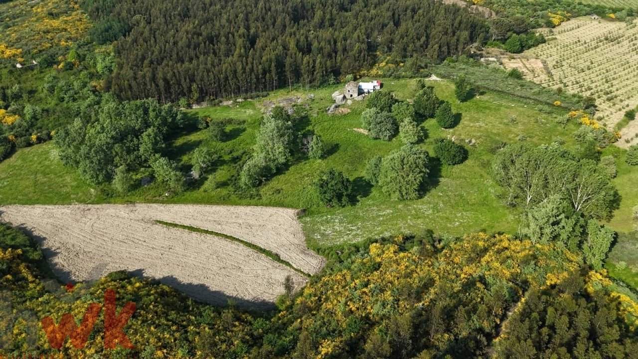 Moradia para Venda em Oliveira do Hospital e São Paio de Gramaços Foto 16