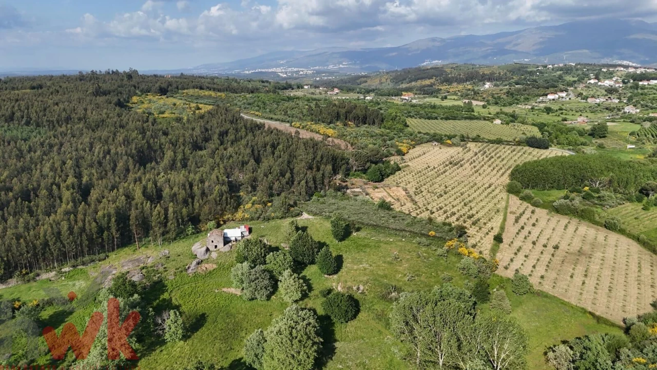 Moradia para Venda em Oliveira do Hospital e São Paio de Gramaços Foto 17