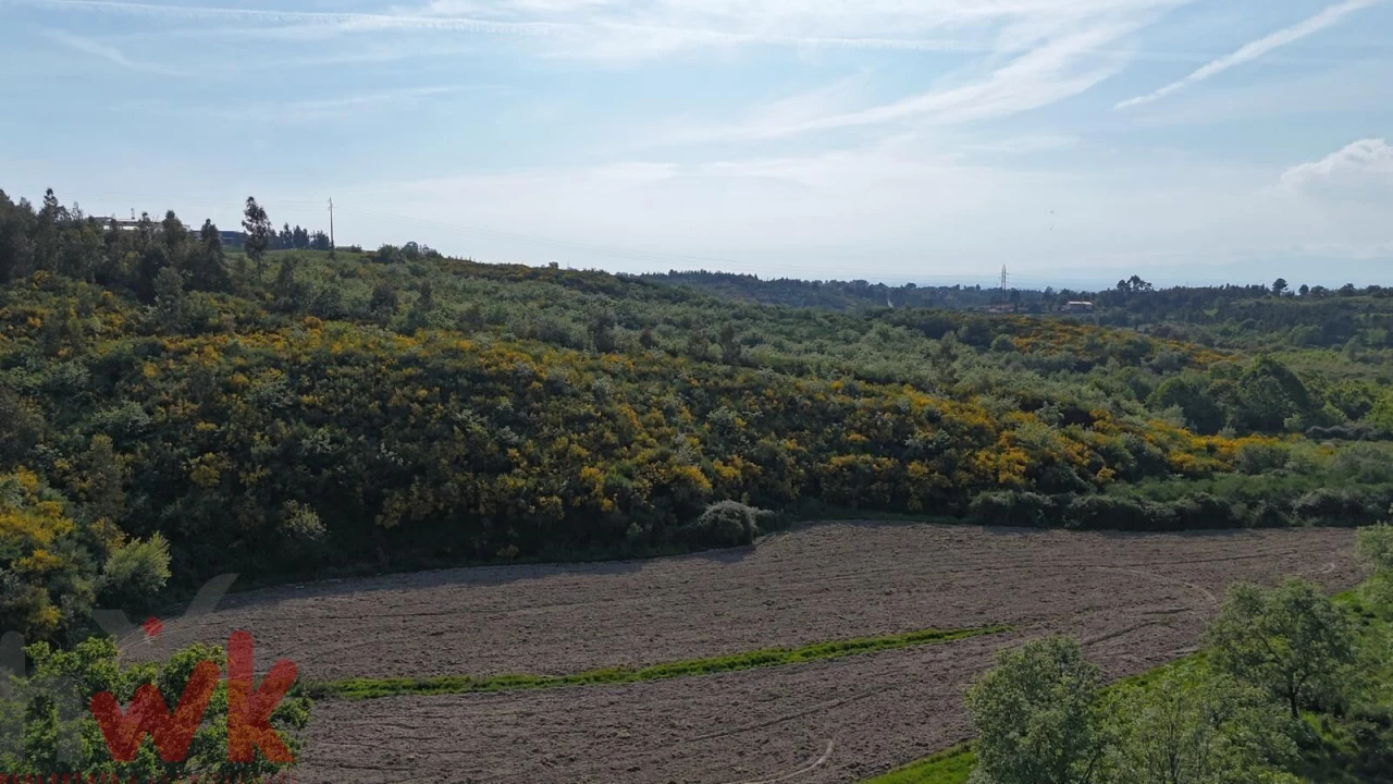 Moradia para Venda em Oliveira do Hospital e São Paio de Gramaços Foto 19