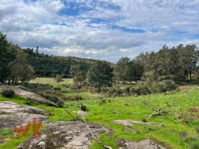 Moradia para Venda em Oliveira do Hospital e São Paio de Gramaços Foto 10