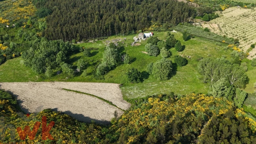 Moradia para Venda em Oliveira do Hospital e São Paio de Gramaços Foto 16