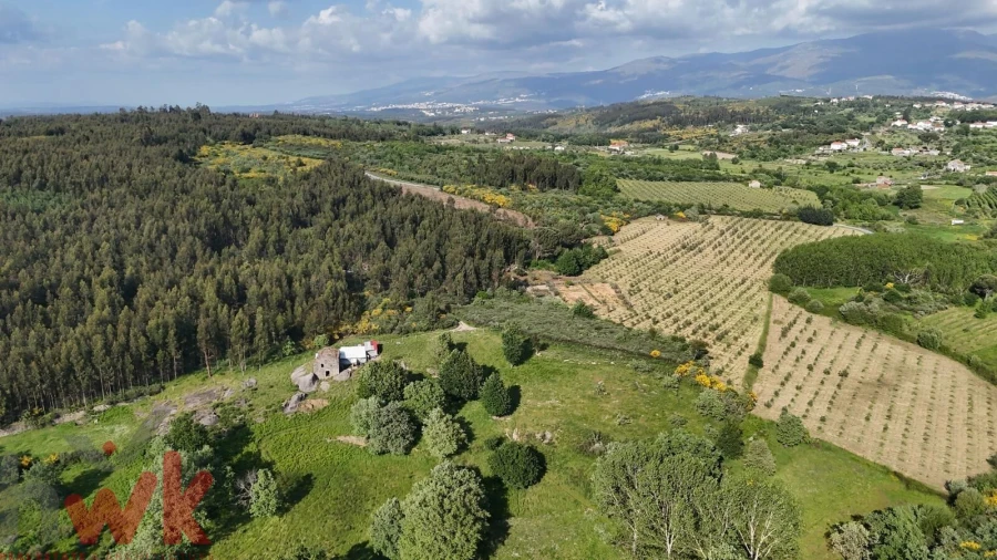 Moradia para Venda em Oliveira do Hospital e São Paio de Gramaços Foto 17