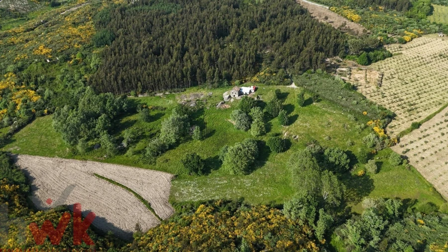 Moradia para Venda em Oliveira do Hospital e São Paio de Gramaços Foto 20