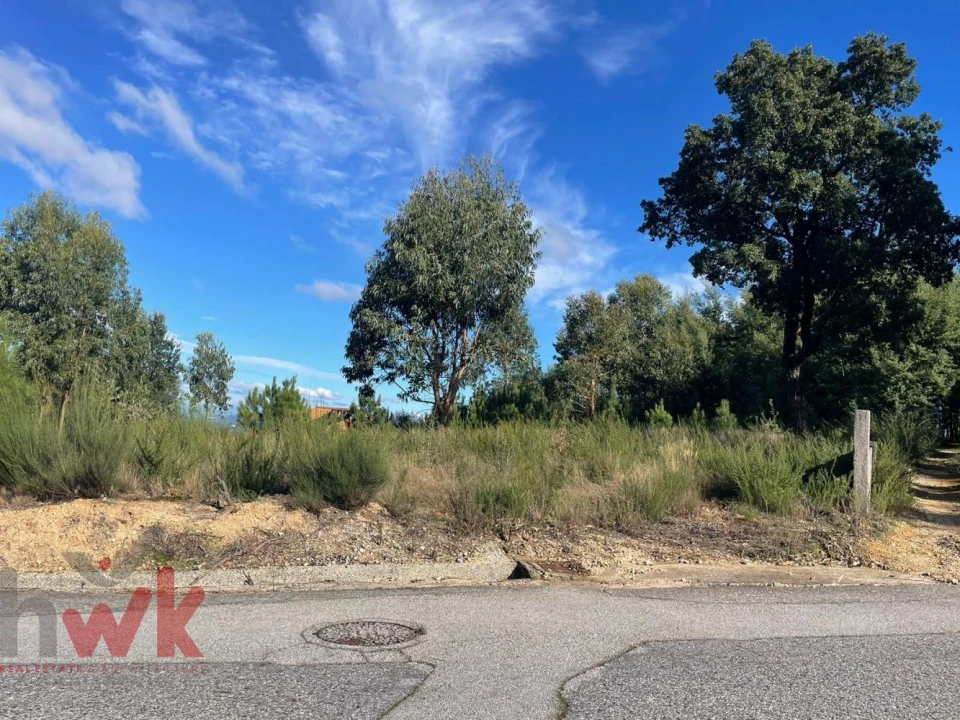 Terreno Agricola ou Rústico para Venda em Lagos da Beira e Lajeosa Foto 1
