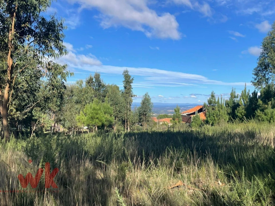 Terreno Agricola ou Rústico para Venda em Lagos da Beira e Lajeosa Foto 2