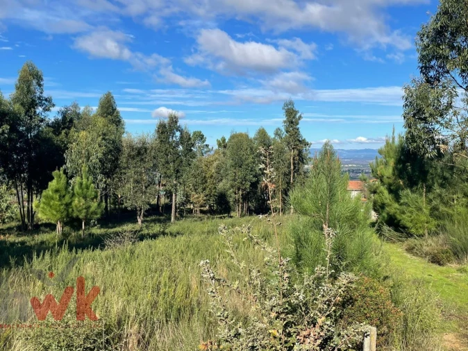 Terreno Agricola ou Rústico para Venda em Lagos da Beira e Lajeosa Foto 5