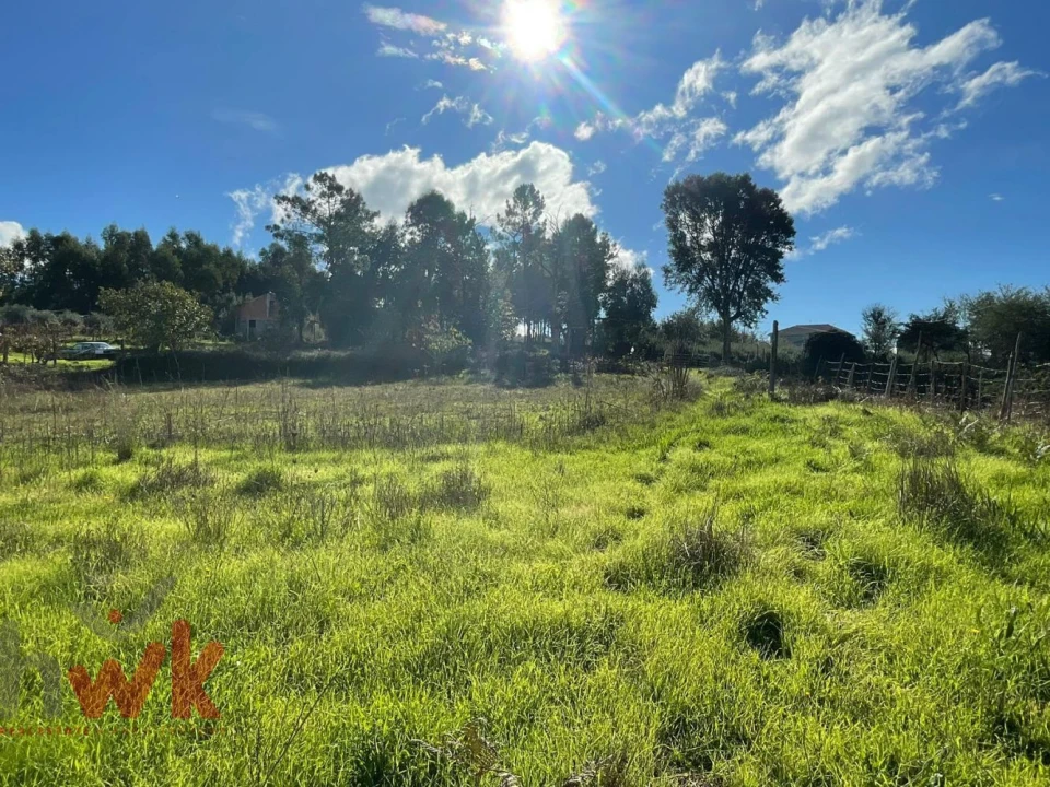 Terreno Agricola ou Rústico para Venda em Lagos da Beira e Lajeosa Foto 1