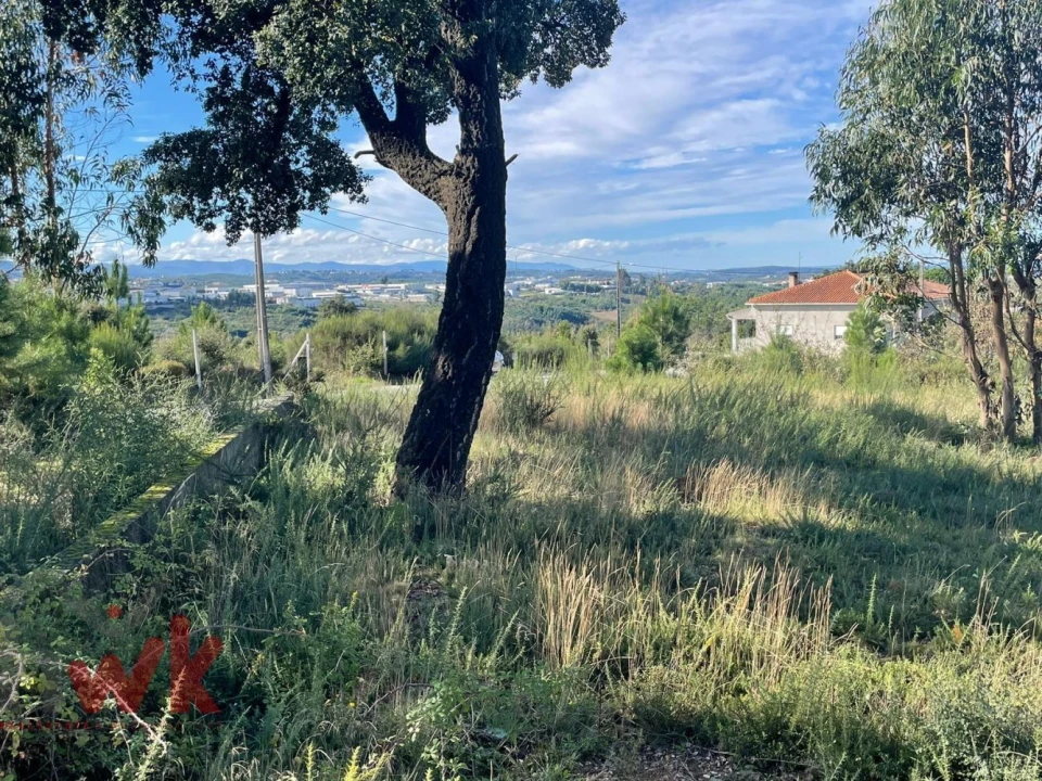Terreno Agricola ou Rústico para Venda em Lagos da Beira e Lajeosa Foto 3