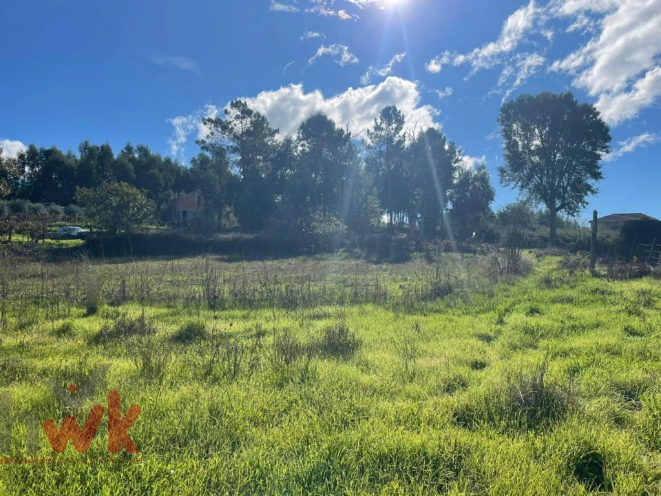 Terreno Agricola ou Rústico para Venda em Lagos da Beira e Lajeosa Foto 4