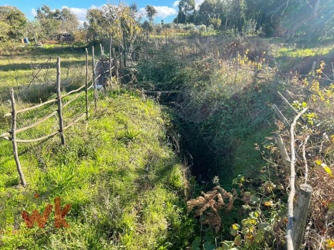 Terreno Agricola ou Rústico para Venda em Lagos da Beira e Lajeosa Foto 2