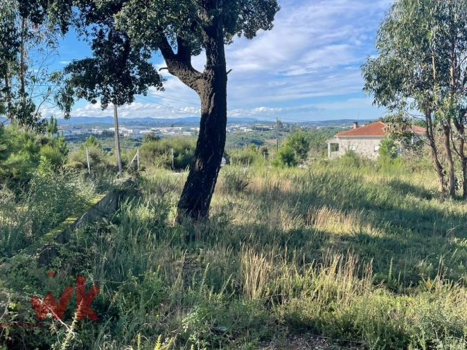 Terreno Agricola ou Rústico para Venda em Lagos da Beira e Lajeosa Foto 3