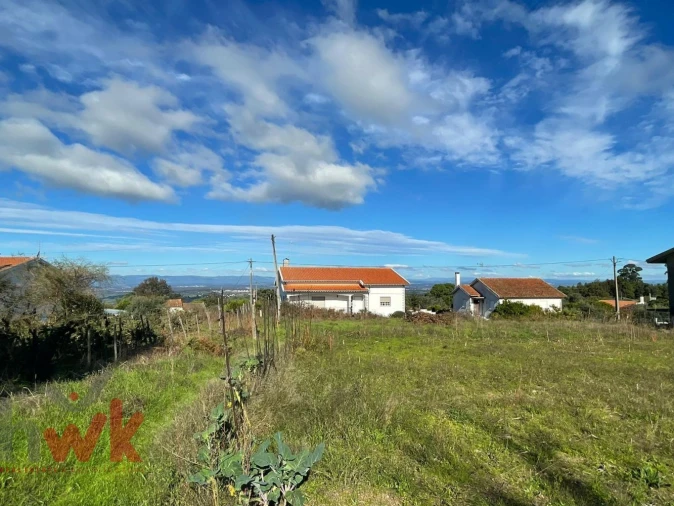 Terreno Agricola ou Rústico para Venda em Lagos da Beira e Lajeosa Foto 5