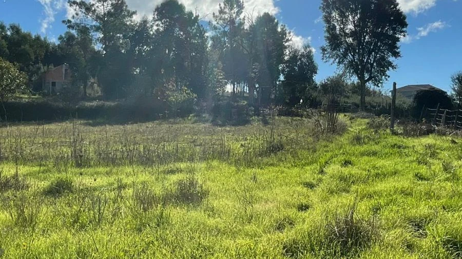 Terreno Agricola ou Rústico para Venda em Lagos da Beira e Lajeosa