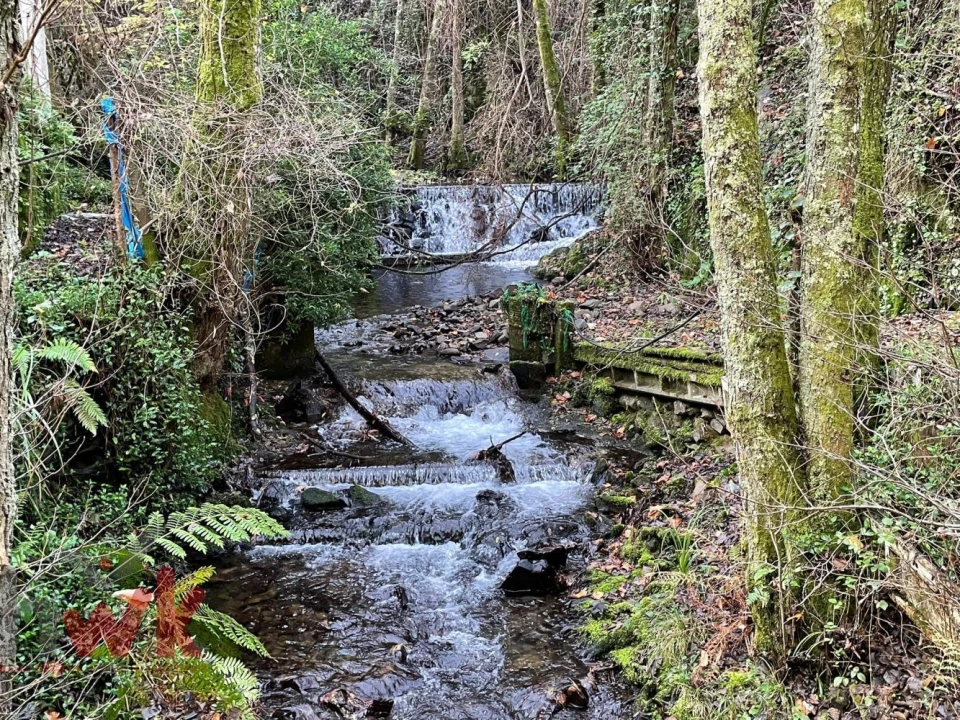 Moradia T2 para Venda em Miranda do Corvo Foto 3