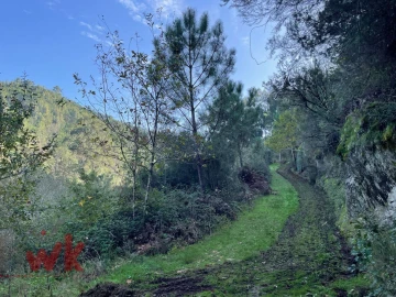 Moradia T2 para Venda em Miranda do Corvo