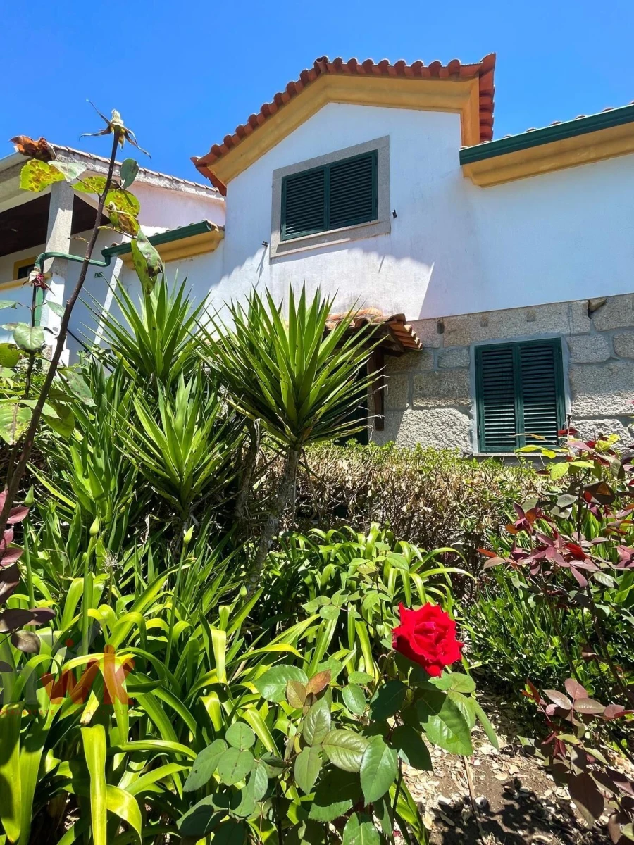 Moradia T12 para Venda em Canas de Senhorim Foto 20