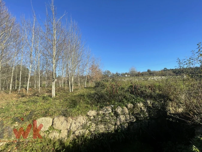 Moradia T3 para Venda em Covas e Vila Nova de Oliveirinha Foto 13