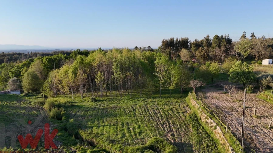 Moradia T3 para Venda em Covas e Vila Nova de Oliveirinha Foto 3