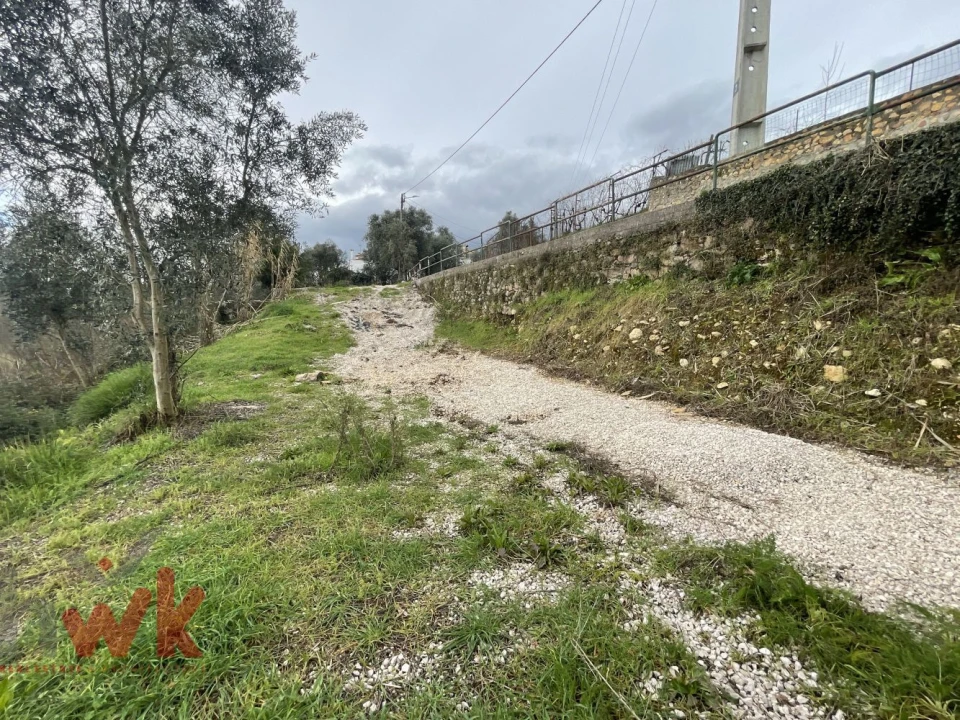 Terreno Agricola ou Rústico para Venda em Sarzedo Foto 11