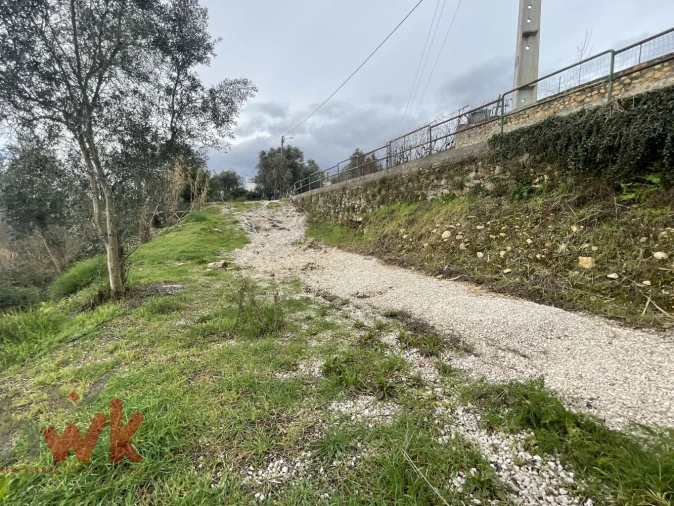 Terreno Agricola ou Rústico para Venda em Sarzedo Foto 11