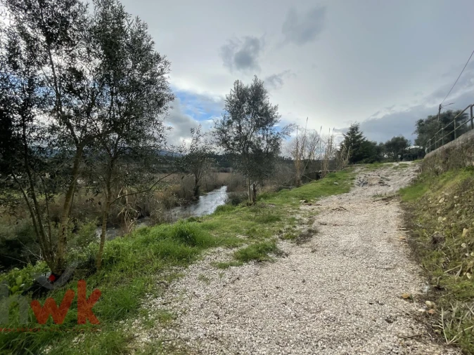 Terreno Agricola ou Rústico para Venda em Sarzedo Foto 12
