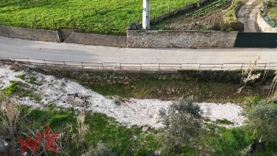 Terreno Agricola ou Rústico para Venda em Sarzedo Foto 28
