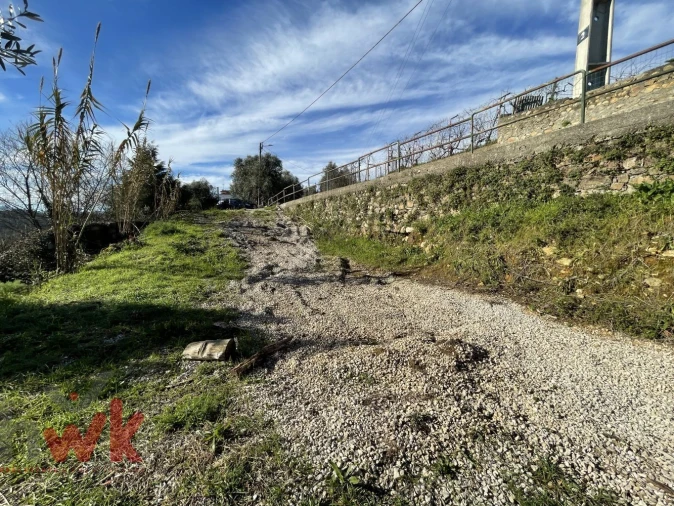 Terreno Agricola ou Rústico para Venda em Sarzedo Foto 3