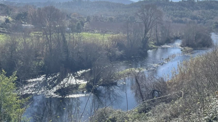 Terreno Agricola ou Rústico para Venda em Sarzedo