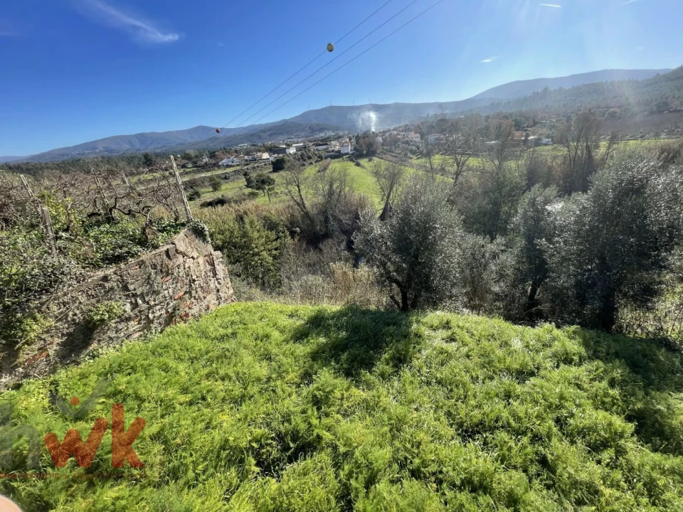 Terreno Agricola ou Rústico para Venda em Sarzedo Foto 3